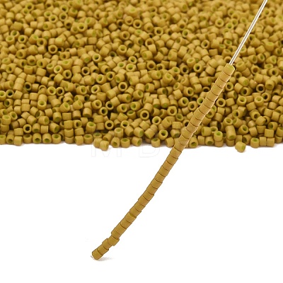MIYUKI Delica Beads X-SEED-J020-DB0665-1