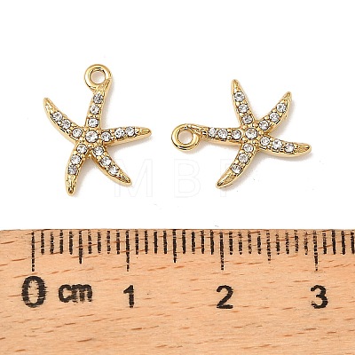 304 Stainless Steel with Crystal Rhinestone Charms STAS-G358-05G-06-1