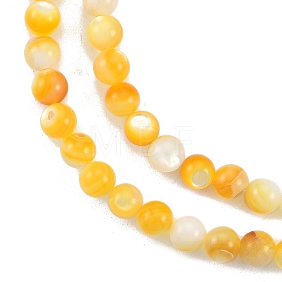 Natural Golden Yellow Shell Beads Strands SSHEL-G024-01A-1