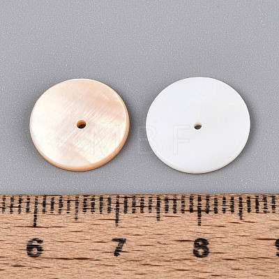 Natural Freshwater Shell Beads BSHE-T014-43C-1