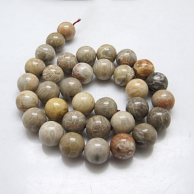Natural Fossil Coral Beads Strands X-G-G212-6mm-31-1