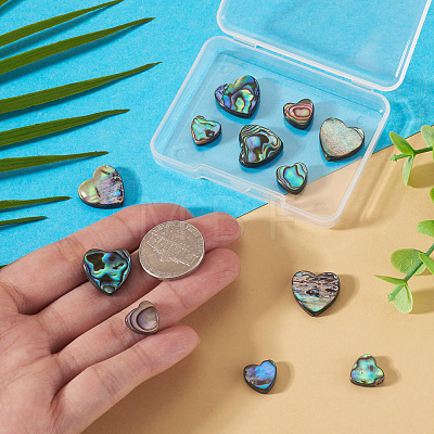 12Pcs 2 Styles Natural Abalone Shell/Paua Shell Beads SHEL-TA0001-41-1