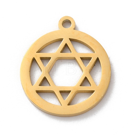 304 Stainless Steel Pendants LS-STAS-S149-10G-1