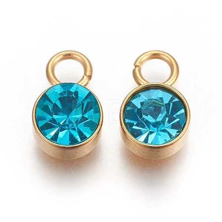 Glass Rhinestone Charms STAS-F189-B01-1