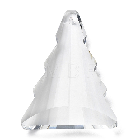 Transparent Glass Big Pendants GLAA-R223-07-1