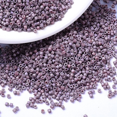 MIYUKI Delica Beads X-SEED-J020-DB1066-1
