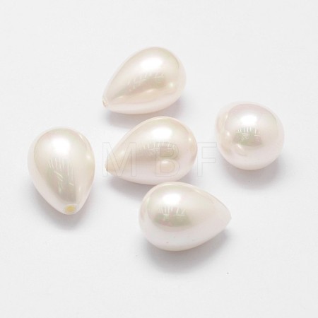 Rainbow Plated Shell Pearl Beads BSHE-L032-02-1