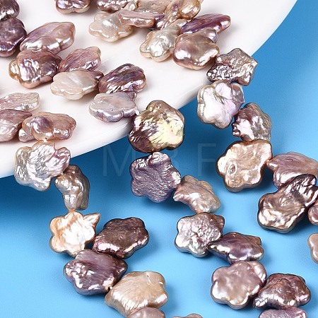 Natural Baroque Keshi Pearl Beads Strands PEAR-S020-A04-02-1