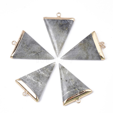 Electroplate Natural Labradorite Pendants G-S344-49D-1