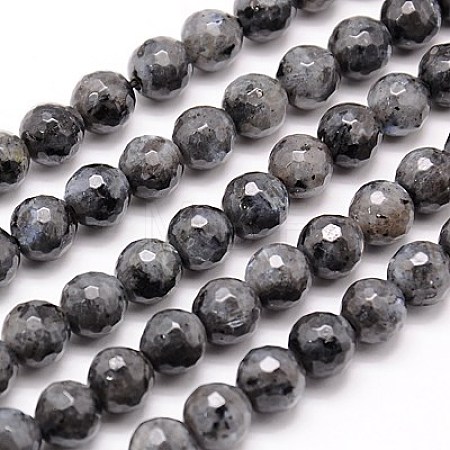 Natural Larvikite Beads Strands G-G736-01-8mm-1
