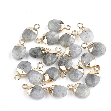 Electroplate Natural Labradorite Charms G-S344-09D-1