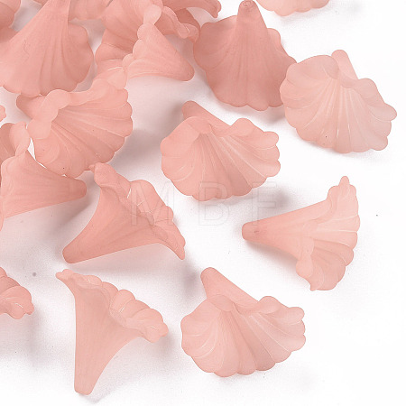 Transparent Acrylic Beads BSF796-C11-1