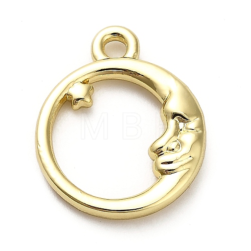 Alloy Pendants FIND-A051-03B-G-1