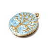 304 Stainless Steel Pendants STAS-N108-111G-05-2