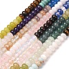 Glass & Natural White Shell & Dyed Howlite Beads Strands G-Z135-C09-2X4MM-2