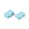 2-Hole Glass Seed Beads SEED-S023-31B-05-2