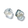 Baking Paint Transparent Glass Beads GLAA-C035-01-3