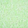 Glass Seed Beads SEED-T008-01D-3