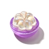 Electroplate UV Plating Opaque Fruit Resin Cabochons CRES-U004-03D-2