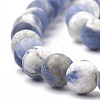 Natural Sodalite Beads Strands X-G-T106-213-2