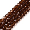 Glass Beads Strands LS-EGLA-A044-T6mm-D02-1