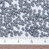 MIYUKI Round Rocailles Beads SEED-X0054-RR0489-4