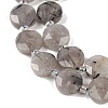 Natural Tourmalinated Quartz Beads Strands G-C116-A62-01-4