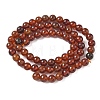 Natural Orange Garnet Beads Strands G-G271-B01-6mm-3