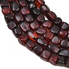 Natural Amber Beads Strands G-K426-A01-02-4