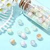 Pearlized Resin European Beads RESI-CJC0022-09-5