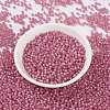 MIYUKI Round Rocailles Beads SEED-JP0009-RR0556-3