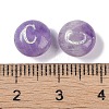 Natural Amethyst Beads G-L524-20C-03-3