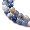 Natural Sodalite Beads Strand GSR8mmC013-6