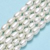 Natural Cultured Freshwater Pearl Beads Strands PEAR-J006-10B-01-2