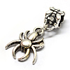 Alloy European Dangle Charms LS-PALLOY-Q314-66-2