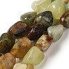 Natural Xiuyan Jade Beads Strands G-B078-D19-04-1