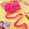 10M Double Layer Polyester Lace Ribbon OCOR-TA0004-14G-5