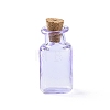 Rectangle Miniature Glass Bottles GLAA-H019-06B-1