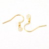 Iron Earring Hooks LS-X-E133-G-1