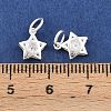 925 Sterling Silver Pave Clear Cubic Zirconia Charms STER-A049-08C-S-3