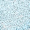 Baking Paint Glass Seed Beads SEED-S042-05B-64-3