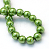 Baking Painted Pearlized Glass Pearl Round Bead Strands HY-Q003-4mm-13-4