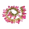 Two Tone Spray Painted Natural Quartz Crystal Points Beads Strands G-Q610-03C-2