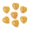 Painted Glass Beads Strands GLAA-Z021-07F-2