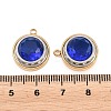 304 Stainless Steel Rhinestone Pendants STAS-Z203-01G-02-3