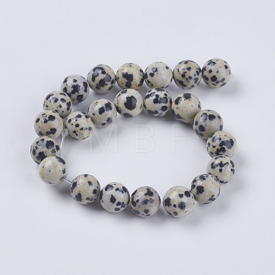 Natural Dalmation Jasper Beads Strands X-G-G515-8mm-06-1