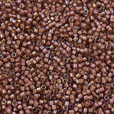 MIYUKI Delica Beads X-SEED-J020-DB1737-1