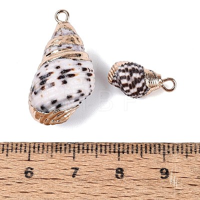 Electroplate Natural Spiral Shell Pendants SSHEL-Q100-44G-1