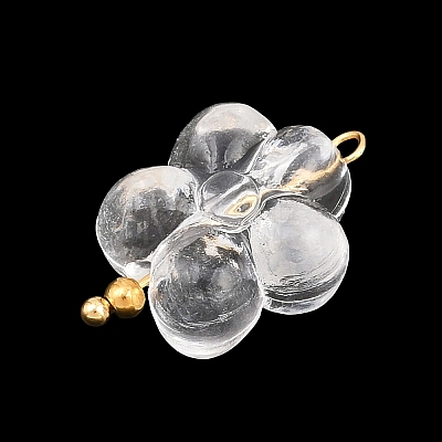 Transparent Acrylic & Stainless Steel Pendants TACR-G051-01G-01-1