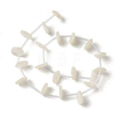 Natural White Shell Mother of Pearl Shell Beads BSHE-B005-07-1